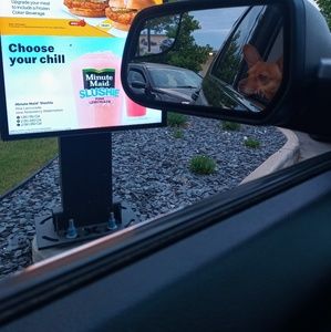 Meet your Posher, Mattie